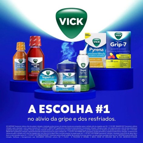 Vick VapoRub Descongestionante Pomada 100g