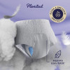 Roupa Íntima Descartável Noturna Plenitud G/XG 24 unidades Roupa Íntima Descartável Noturna Plenitud G/XG 24 unidades