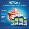 Leite de Magnésia Magmax Tradicional Suspensão Oral 100ml