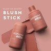 Blush Stick Océane Picnic Nude
