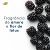 Desodorante Antitranspirante Aerosol Dove Go Fresh Amora e Flor de Lótus Feminino 48h 150ml