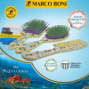   Escova de Cabelo Marco Boni Raquete Kids Disney Sereia Bege