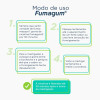 Gomas Mastigáveis de Nicotina Fumagum 2mg Sabor Menta 36 gomas