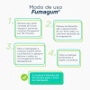 Fumagum 4mg Menta 36 Gomas