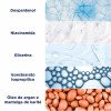 Bepantol Derma Hidratante Restaurador - Loção Corporal Diária Pele Seca
