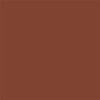 Protetor Solar Episol Color Pele Negra FPS 70 40g