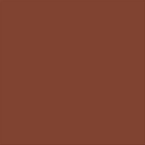 Protetor Solar Episol Color Pele Negra FPS 70 40g