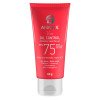 Protetor Solar Facial Anasol - Viso Oil control FPS75