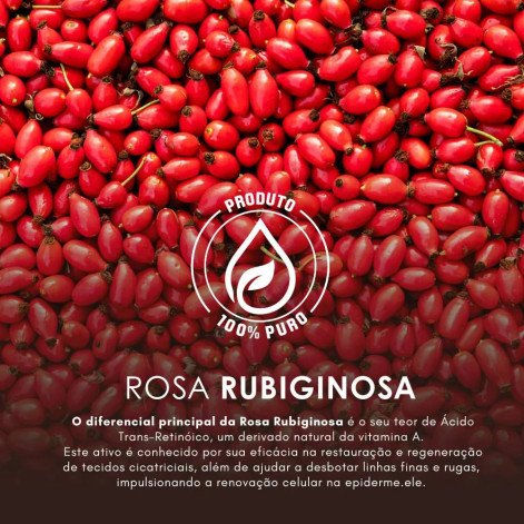 Oleo Rosa Mosqueta 30ML Bellaphytus