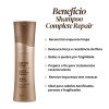 Amend Shampoo Expertise Complete Repair Reconstrutor 250Ml