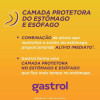 Gastrol 125mg/ml + 50mg/ml + 180mg/ml Suspensão Oral 250ml