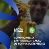 Chocolate LACTA Intense Meio Amargo 40% cacau Avelã e Crocante de Cacau 85g Chocolate LACTA Intense Meio Amargo 40% cacau Avelã e Crocante de Cacau 85g