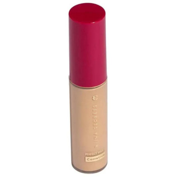 Corretivo Líquido Niina Secrets Perfect Match Cor 05 10ml