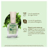 Base Risqué Bio 9ml - Couve Kale