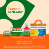 Benegrip Dipirona Monoidratada 500mg + Maleato de Clorfeniramina 2mg + Cafeína 30mg 6 comprimidos