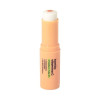 Bastão Vitamina C Pura 10% Sallve 10g