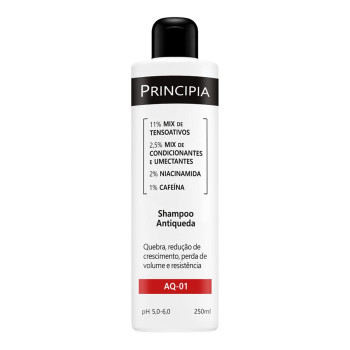  Shampoo Antiqueda Principia Skincare AQ-01 Dermatológico 250ml