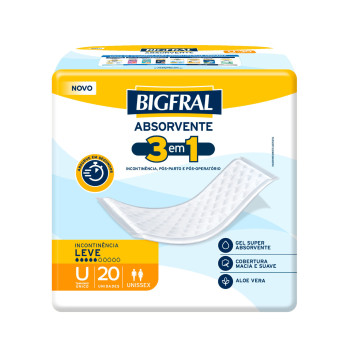 Absorvente Ad Bigfral 20Un Plus Reg